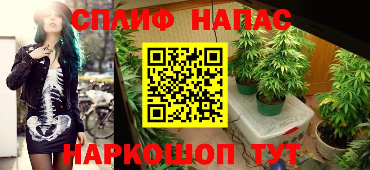 Марихуана MAZAR  Вход с VPN  Каннабис MAZAR  Волжский  Бошки Шишки индика  Канабис VHQ 